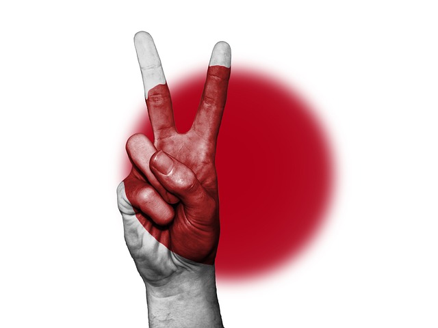 Japan 국기