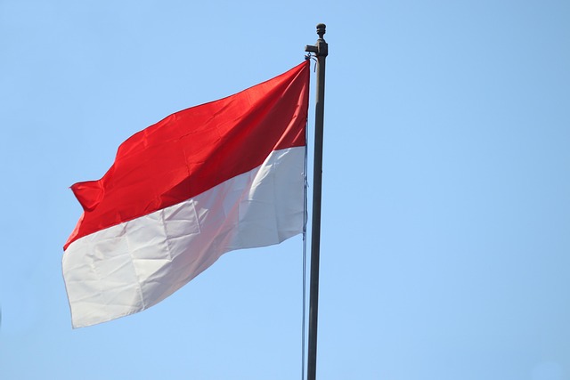 Indonesia 국기